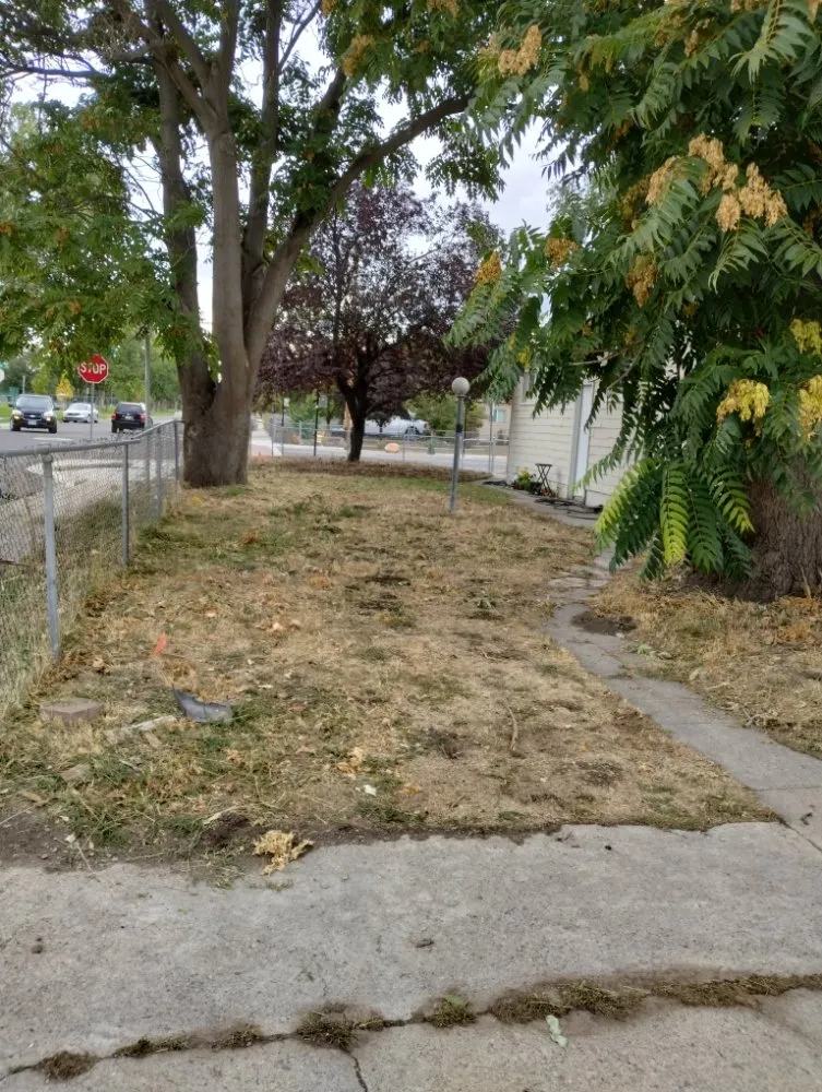 Reliable yard cleanup service in Draper, UT - Cisco Gardening & Landscaping Services