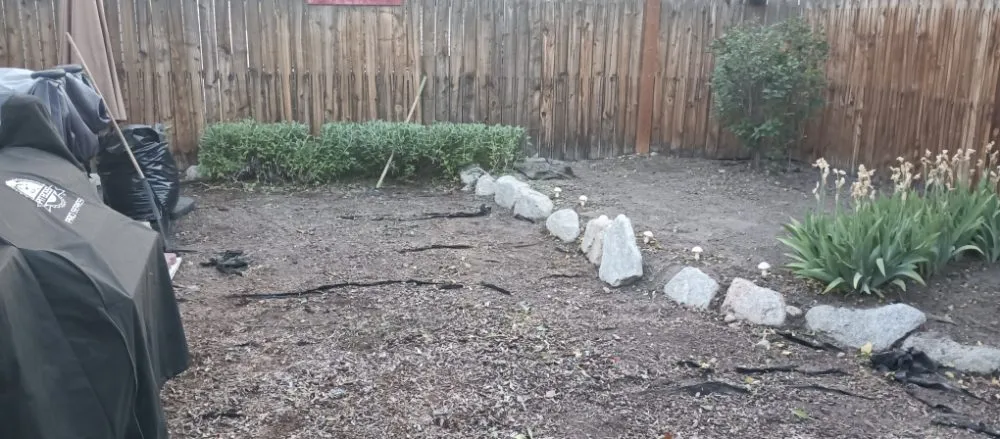 Expert garden landscaping in Draper, UT - Cisco Gardening & Landscaping Services