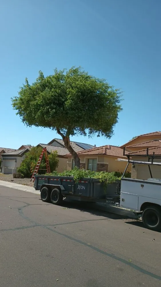 Reliable residential landscaping experts serving El Mirage, AZ - Cisco Landcare