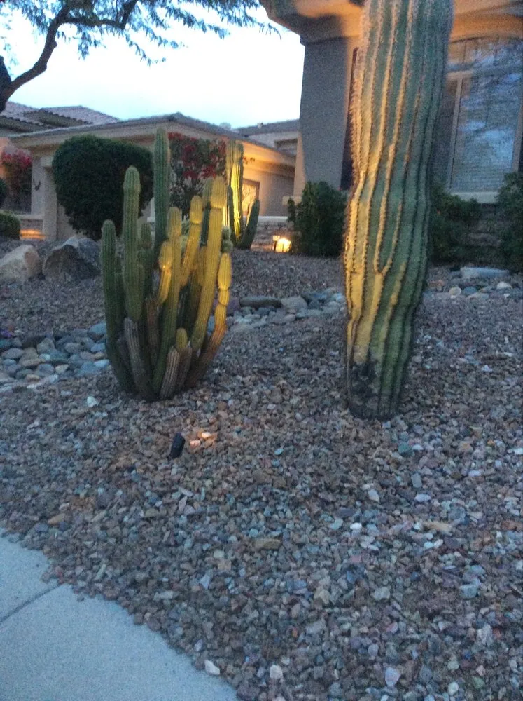 Local lawn mowing service in Glendale, AZ by Cisco Landscaping