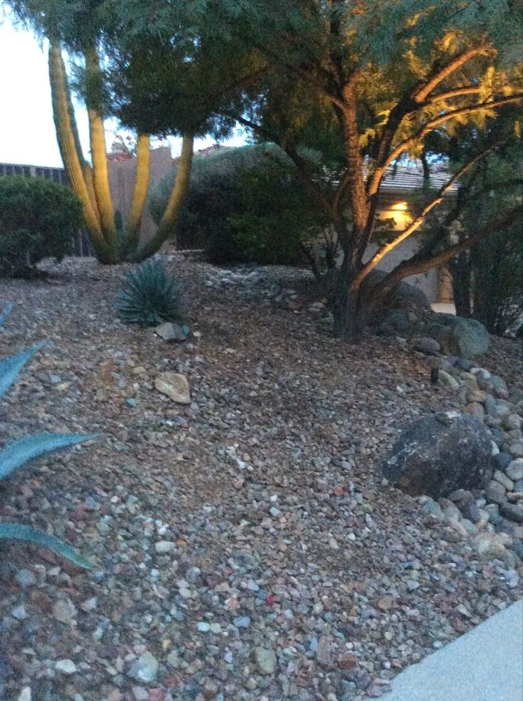 Affordable landscaping services in Glendale, AZ - Cisco Landscaping