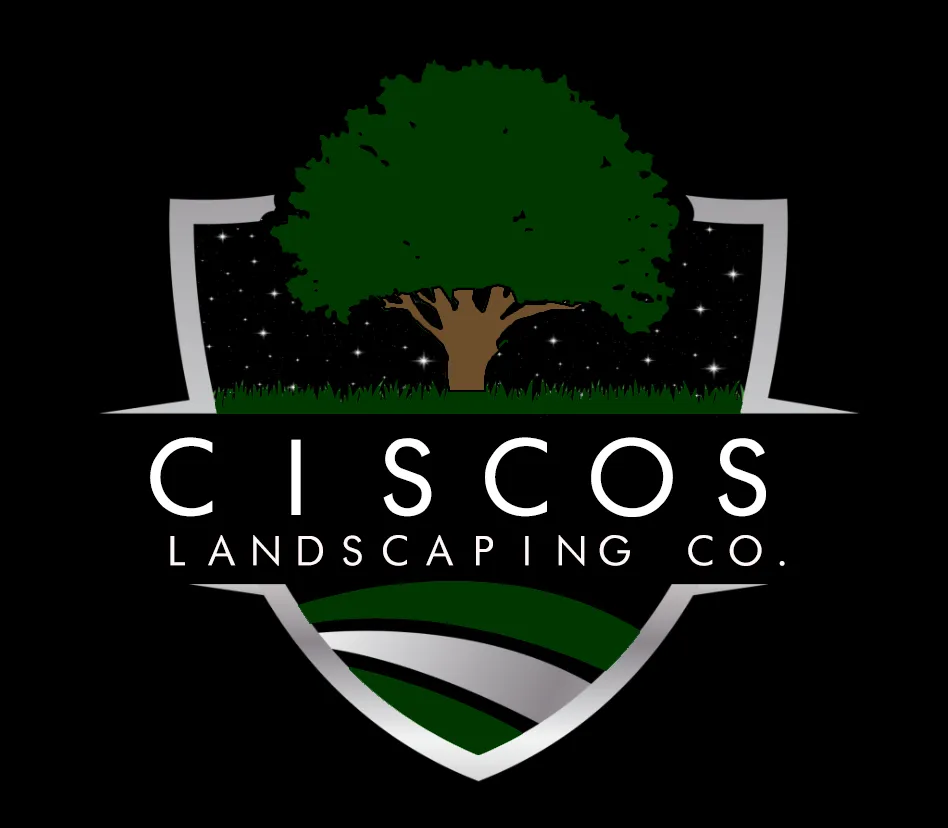 Affordable residential landscaping for residential properties in Glendale, AZ by Cisco Landscaping