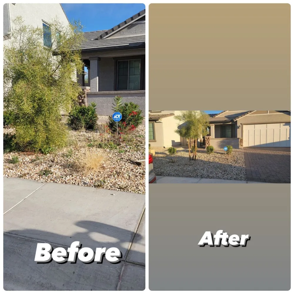 Affordable yard maintenance for year-round maintenance in Glendale, AZ by Cisco Landscaping