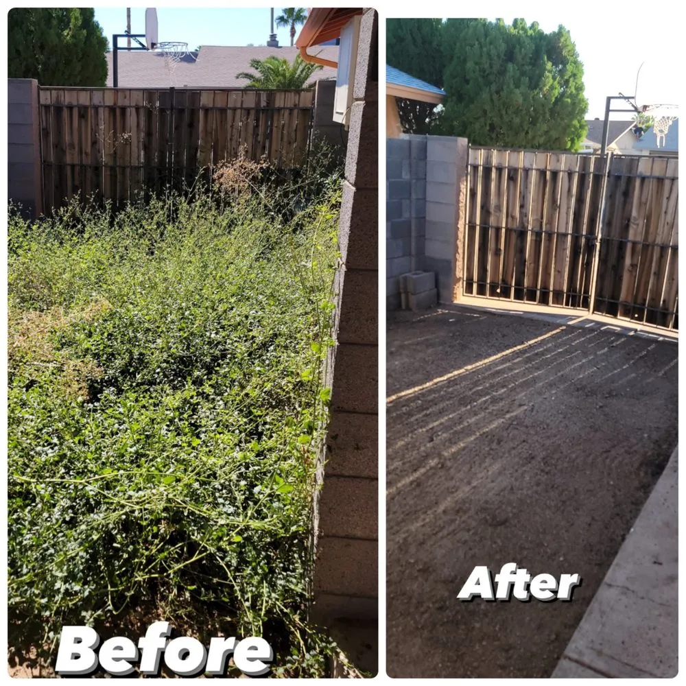 Professional landscaping services for beautiful yards across Glendale, AZ - Cisco Landscaping