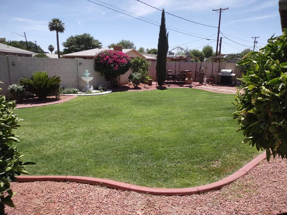 Affordable residential landscaping in Glendale, AZ - Cisco Landscaping