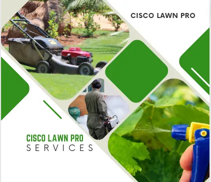Cisco Lawn Pro