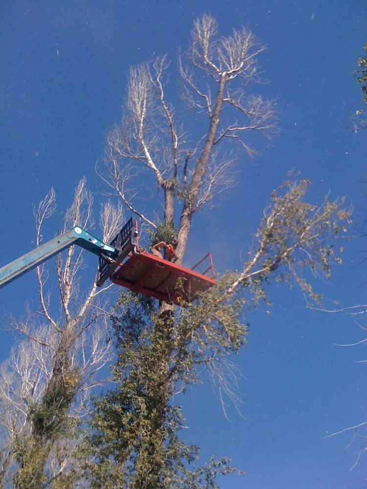 Top-rated garden landscaping in Victor, ID - Cisco Services