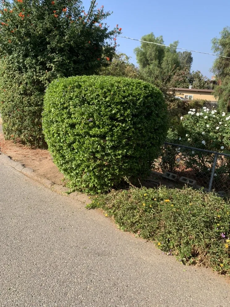 Expert outdoor landscaping for outdoor upgrades in El Cajon, CA by Cisco’s landscape and gardening