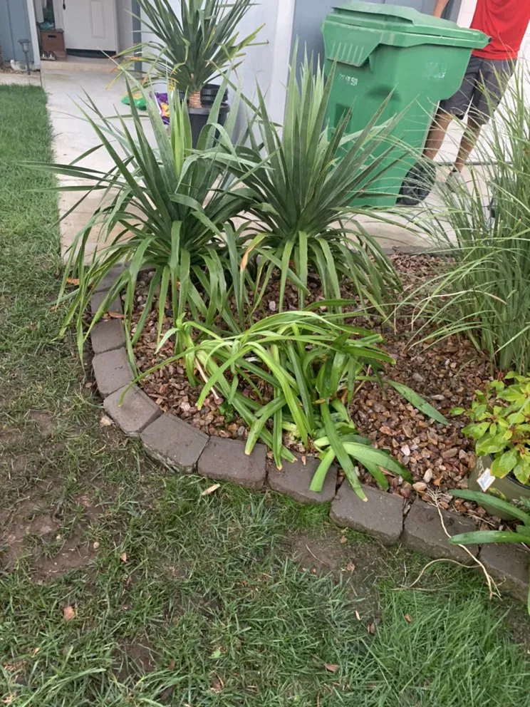 Top-rated landscape installation in El Cajon, CA by Cisco’s landscape and gardening