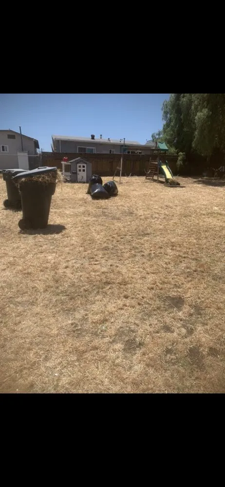 Local yard maintenance in El Cajon, CA - Cisco’s landscape and gardening