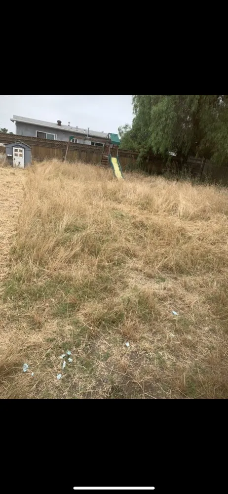 Local garden landscaping in El Cajon, CA - Cisco’s landscape and gardening