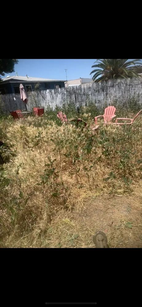 Affordable landscape installation experts serving El Cajon, CA - Cisco’s landscape and gardening