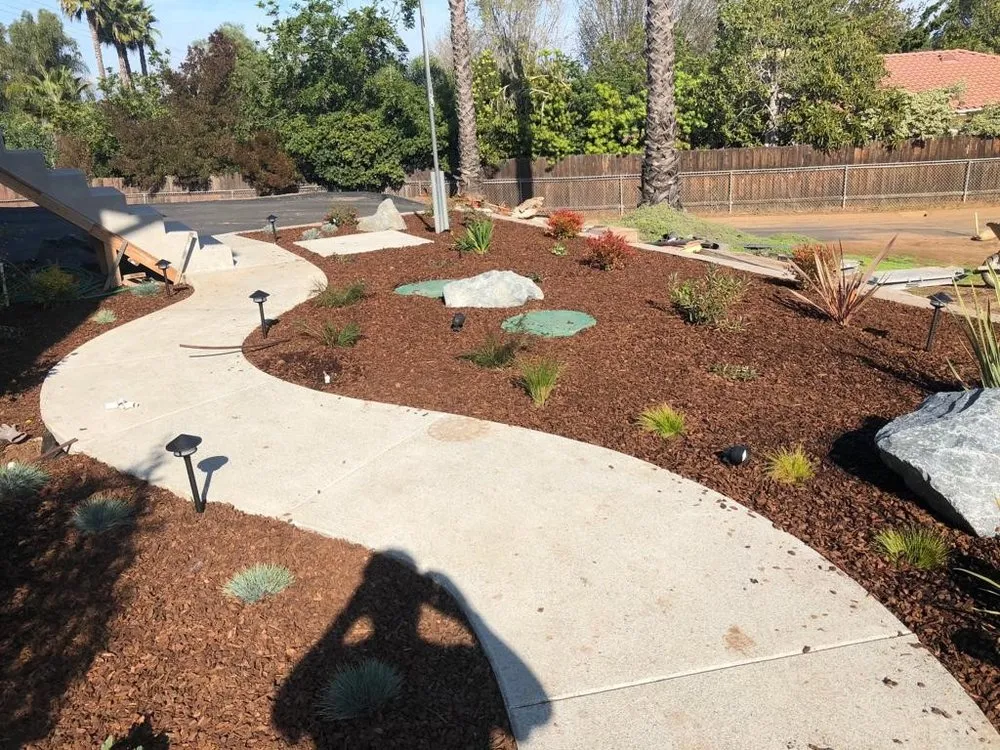 Professional yard cleanup service in San Marcos, CA by Cisne Landscape Design
