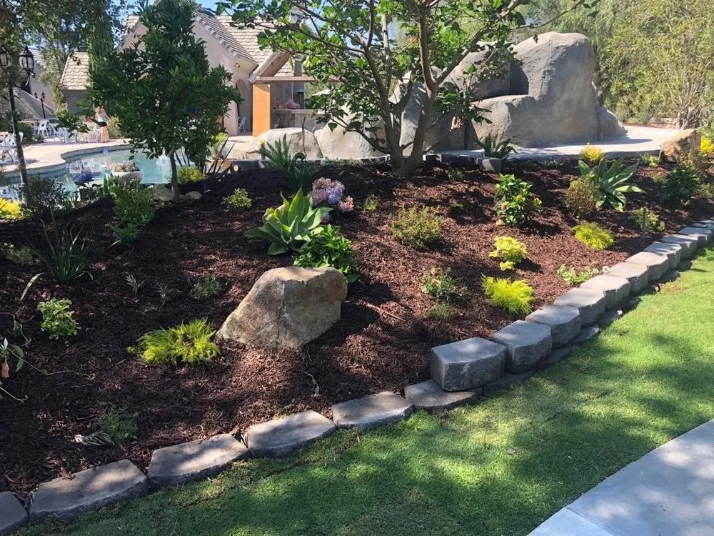 Professional yard cleanup service with custom design in San Marcos, CA by Cisne Landscape Design