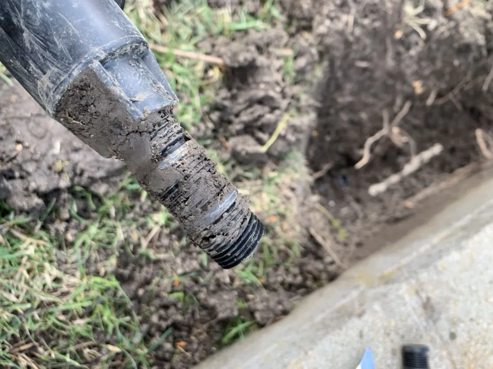 Expert lawn care service for beautiful yards in Antioch, CA by Cisneros Golden landscaping