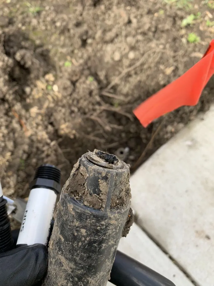 Top-rated lawn care service in Antioch, CA - Cisneros Golden landscaping