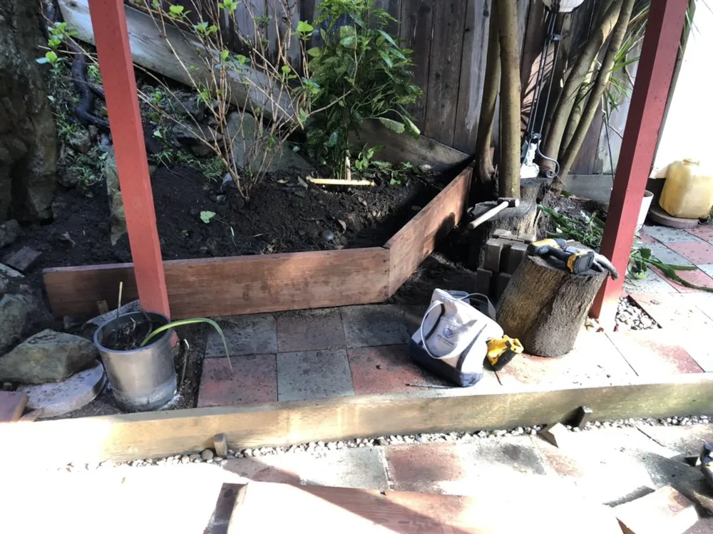 Local yard maintenance in Antioch, CA - Cisneros Golden landscaping