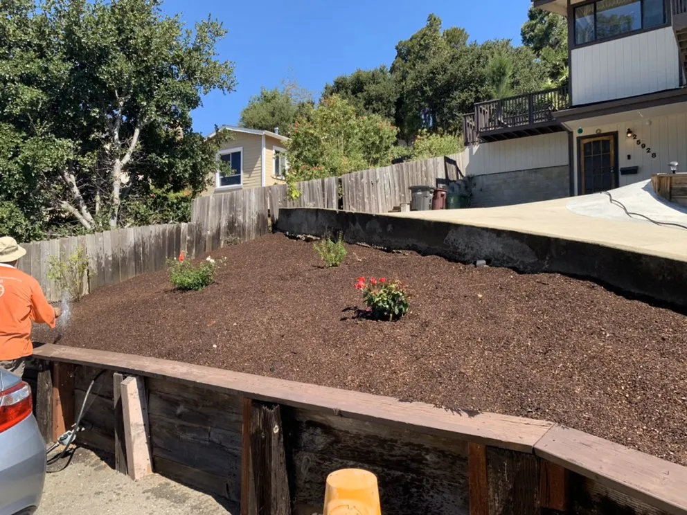 Top-rated landscape installation experts serving Antioch, CA - Cisneros Golden landscaping