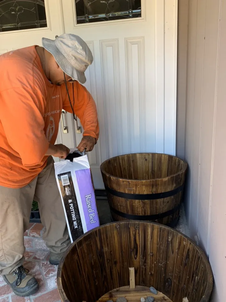 Top-rated lawn care service experts serving Antioch, CA - Cisneros Golden landscaping