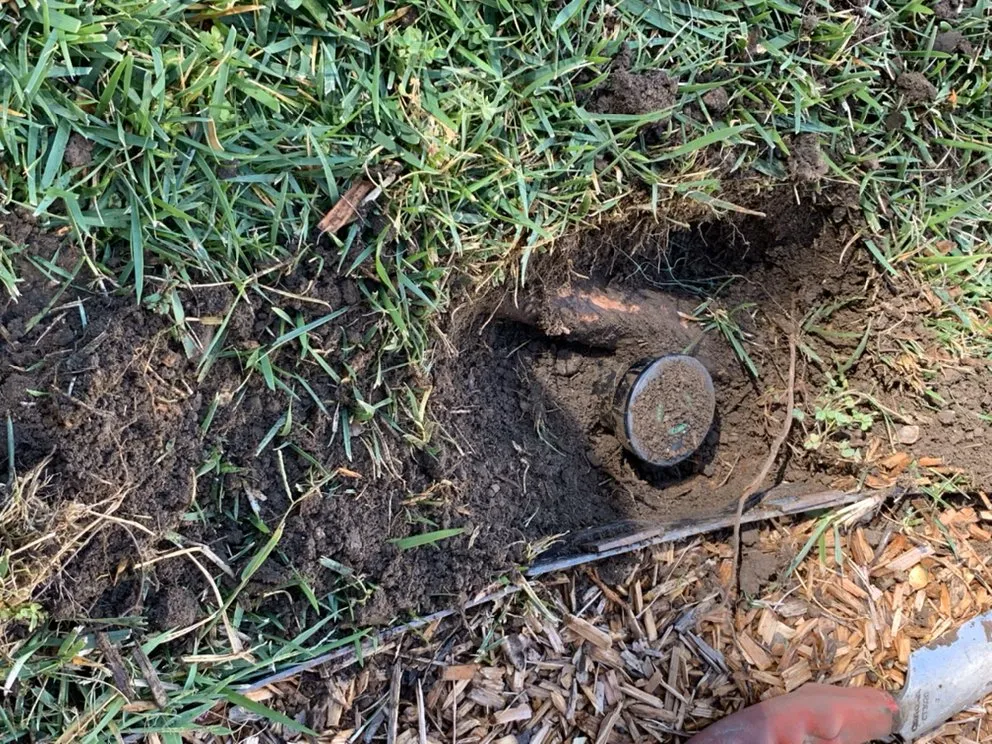 Reliable lawn mowing service for residential properties in Antioch, CA by Cisneros Golden landscaping