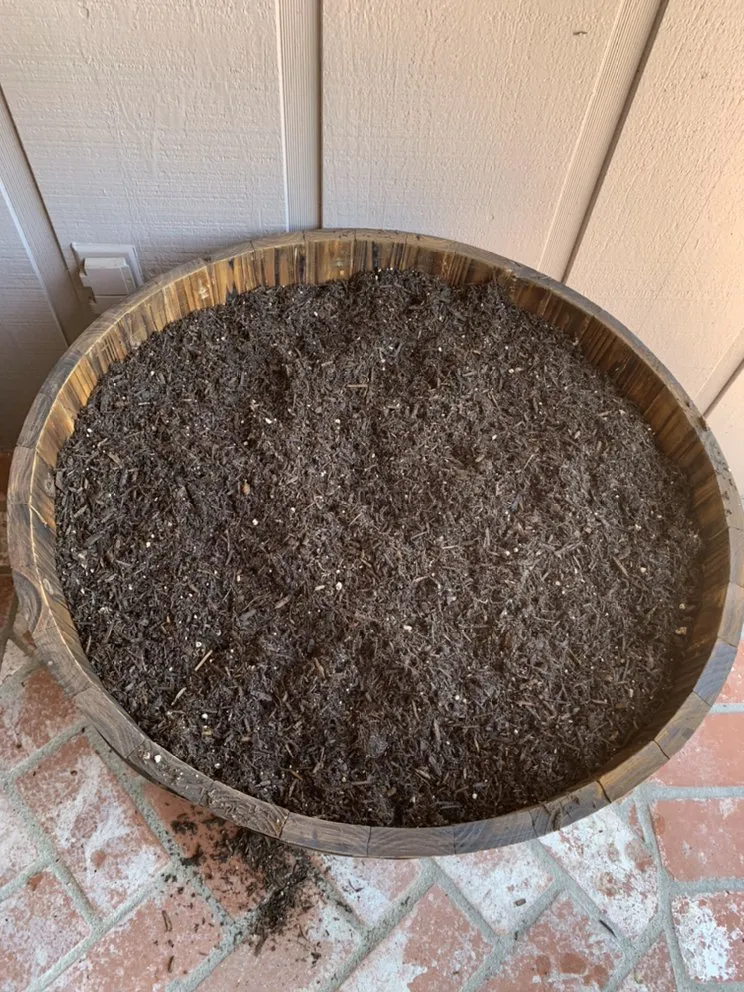 Expert yard cleanup service in Antioch, CA by Cisneros Golden landscaping