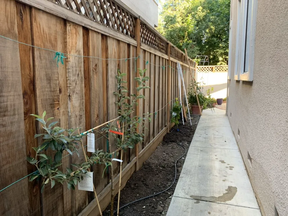 Professional garden landscaping for residential properties across Antioch, CA - Cisneros Golden landscaping