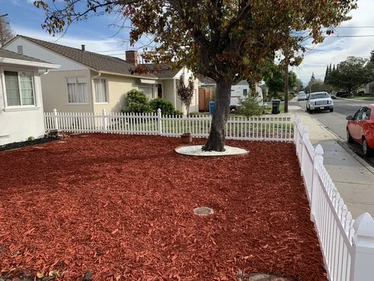 Cisneros Golden landscaping Logo