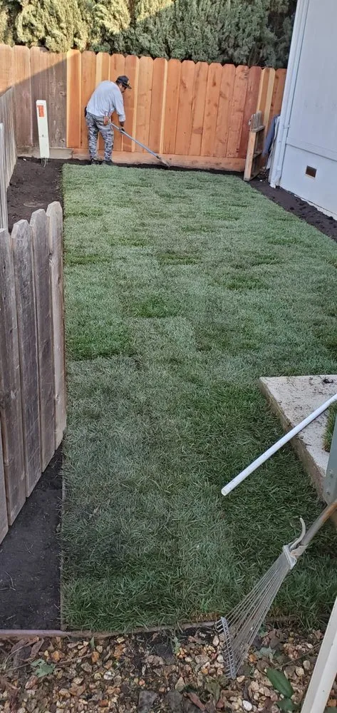 Custom landscape design for outdoor upgrades across Modesto, CA - Cisneros Landscaping