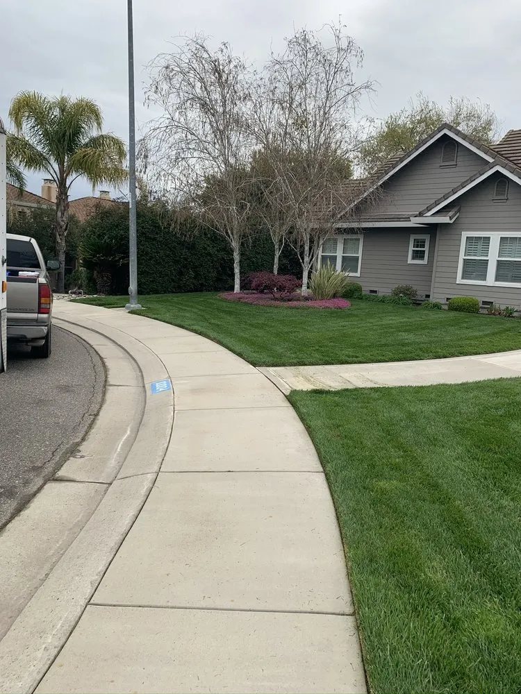 Local landscape installation near you across Modesto, CA - Cisneros Landscaping