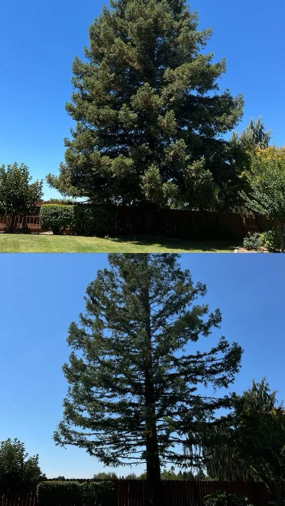 Local landscape installation near you across Modesto, CA - Cisneros Landscaping