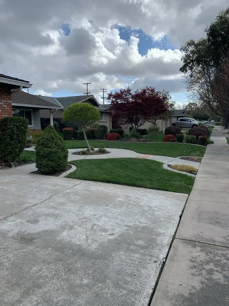 Affordable landscaping services in Modesto, CA by Cisneros Landscaping