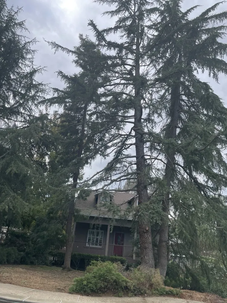 Custom outdoor landscaping for outdoor upgrades in Modesto, CA by Cisneros Landscaping