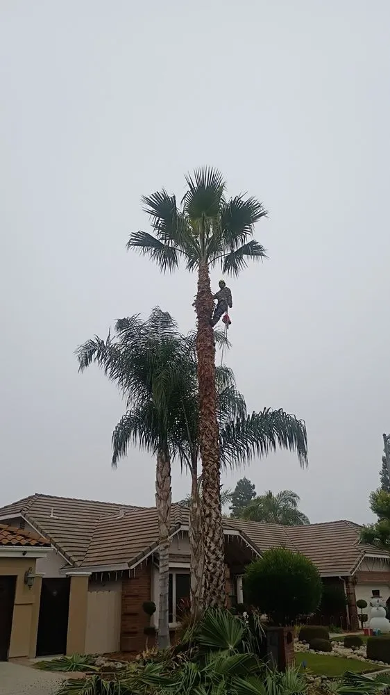 Trusted residential landscaping in Modesto, CA by Cisneros Landscaping