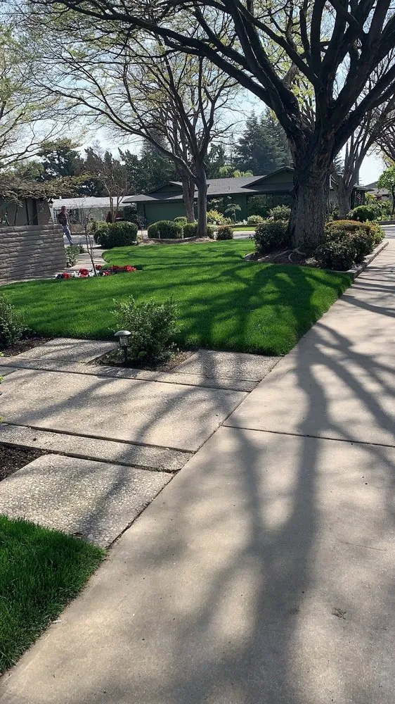 Custom landscape installation near you across Modesto, CA - Cisneros Landscaping