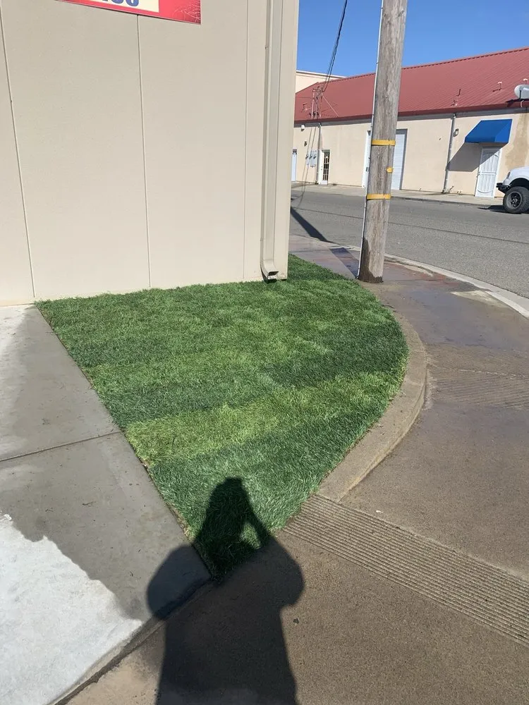 Professional outdoor landscaping in Modesto, CA by Cisneros Landscaping