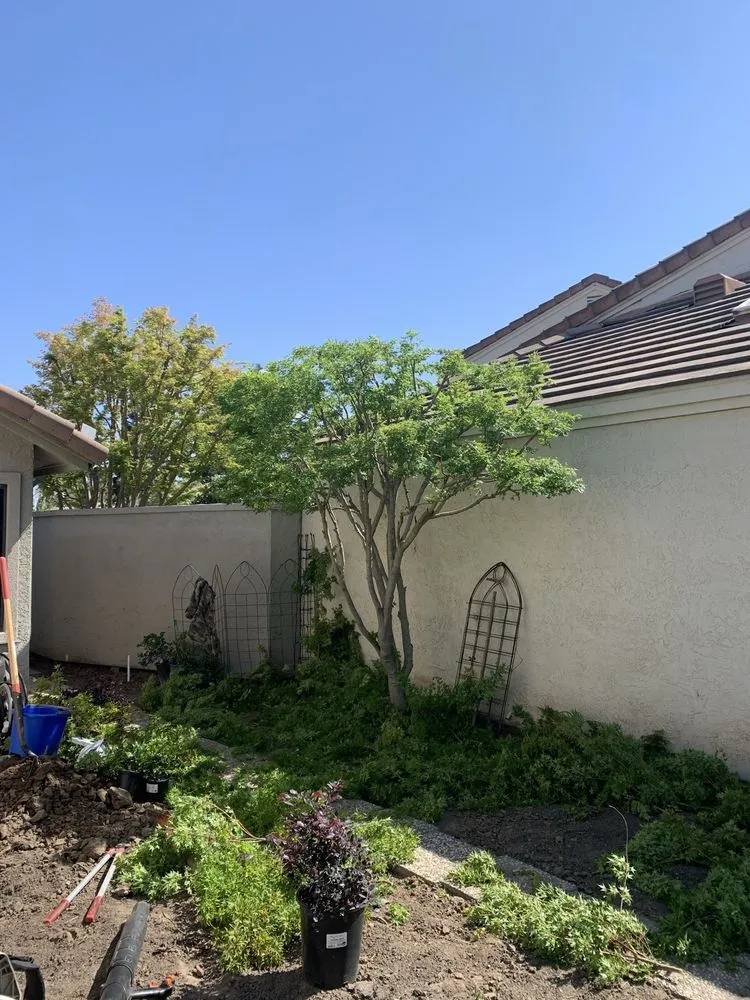 Expert landscape design in Modesto, CA - Cisneros Landscaping