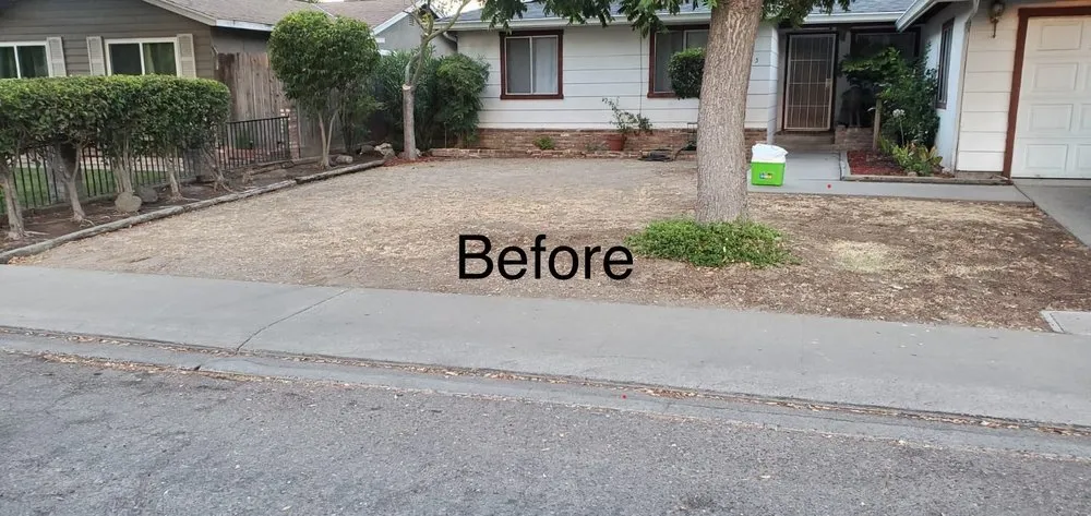 Expert yard maintenance in Modesto, CA by Cisneros Landscaping