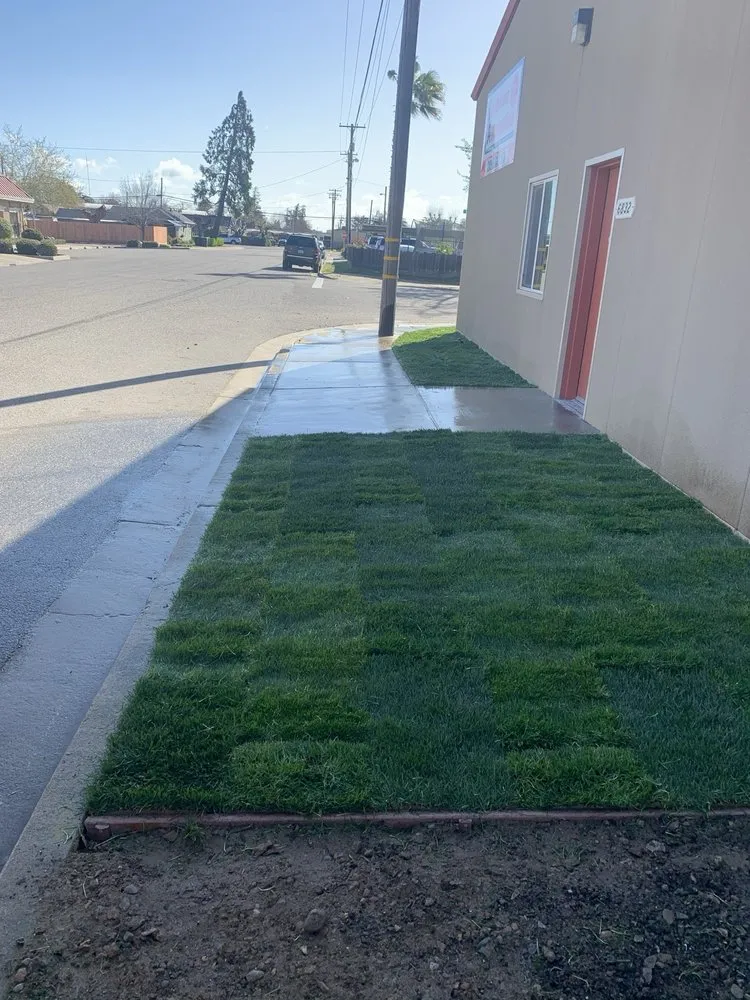 Professional landscape design for residential properties across Modesto, CA - Cisneros Landscaping