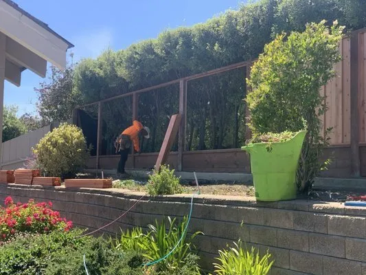 Local residential landscaping in Redwood City, CA - Cisneros Landscaping
