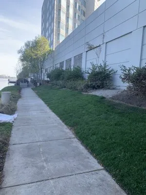 Expert residential landscaping experts serving Redwood City, CA - Cisneros Landscaping