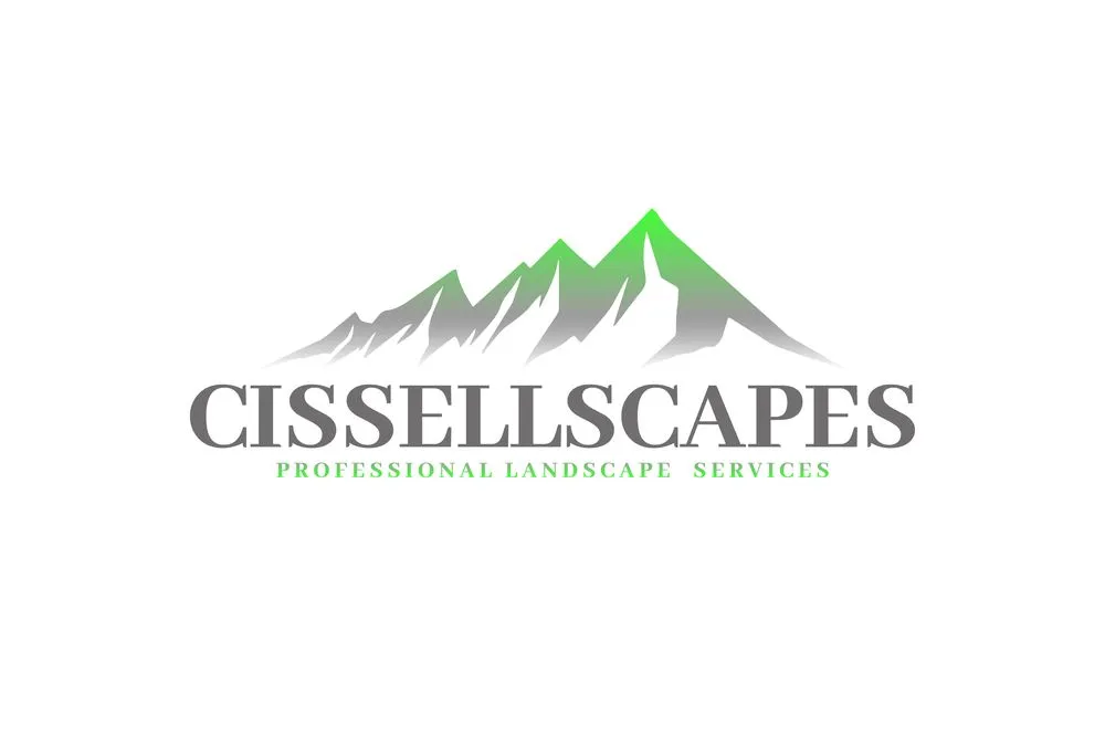 Local yard cleanup service in Boulder, CO by Cissellscapes