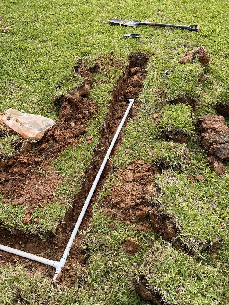 Top-rated yard maintenance in Houston, TX - Citadel Outdoor Works