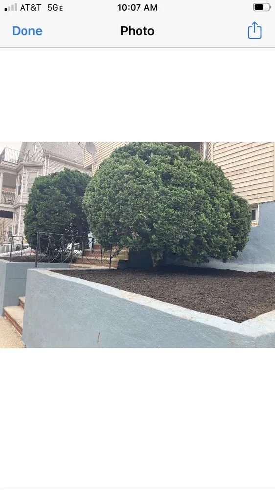 Trusted lawn mowing service in Woburn, MA - Citation Property Services