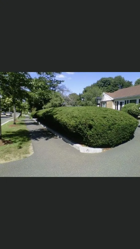 Local lawn care service experts serving Woburn, MA - Citation Property Services