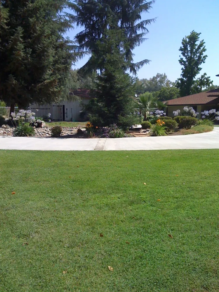 Top-rated garden landscaping for outdoor upgrades in Redding, CA by CitiLawns