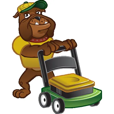 Local yard cleanup service in Allen, TX by CitiTurf