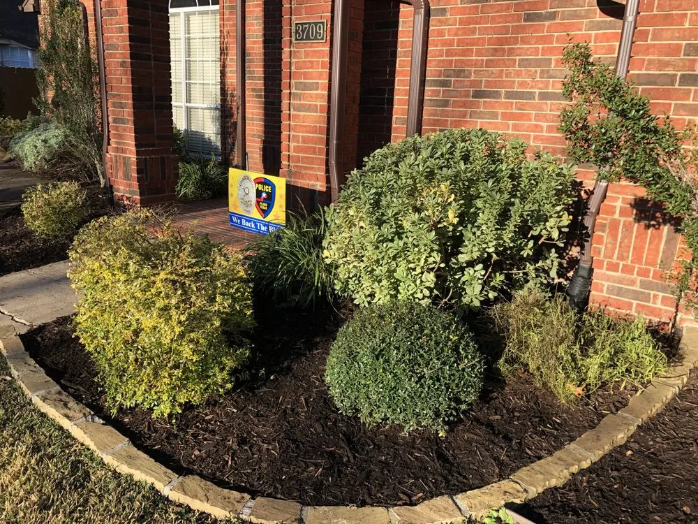 Trusted landscaping services in Allen, TX by CitiTurf