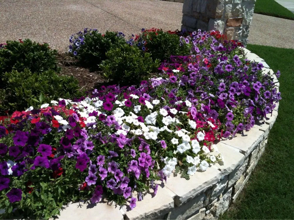 Local yard cleanup service in Allen, TX - CitiTurf