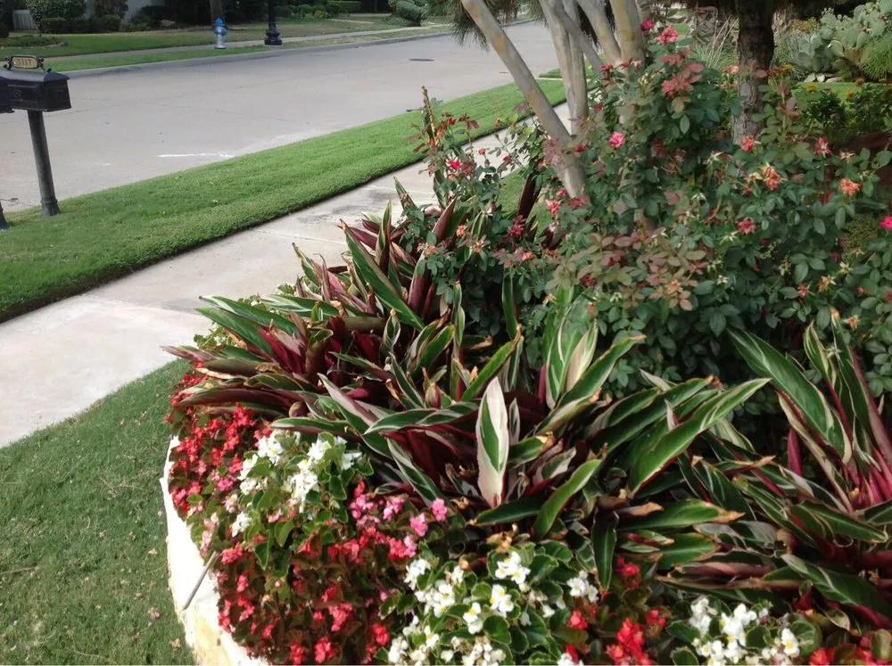 Professional residential landscaping in Allen, TX - CitiTurf