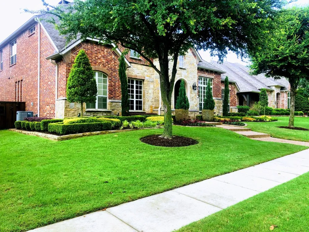 Custom yard cleanup service with custom design in Allen, TX by CitiTurf